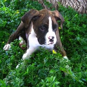 Meet your Posher, Ann